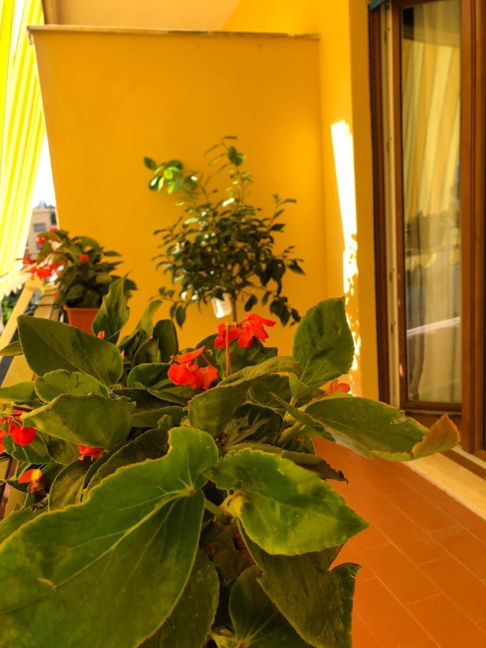 B&B La Rada ソレント エクステリア 写真